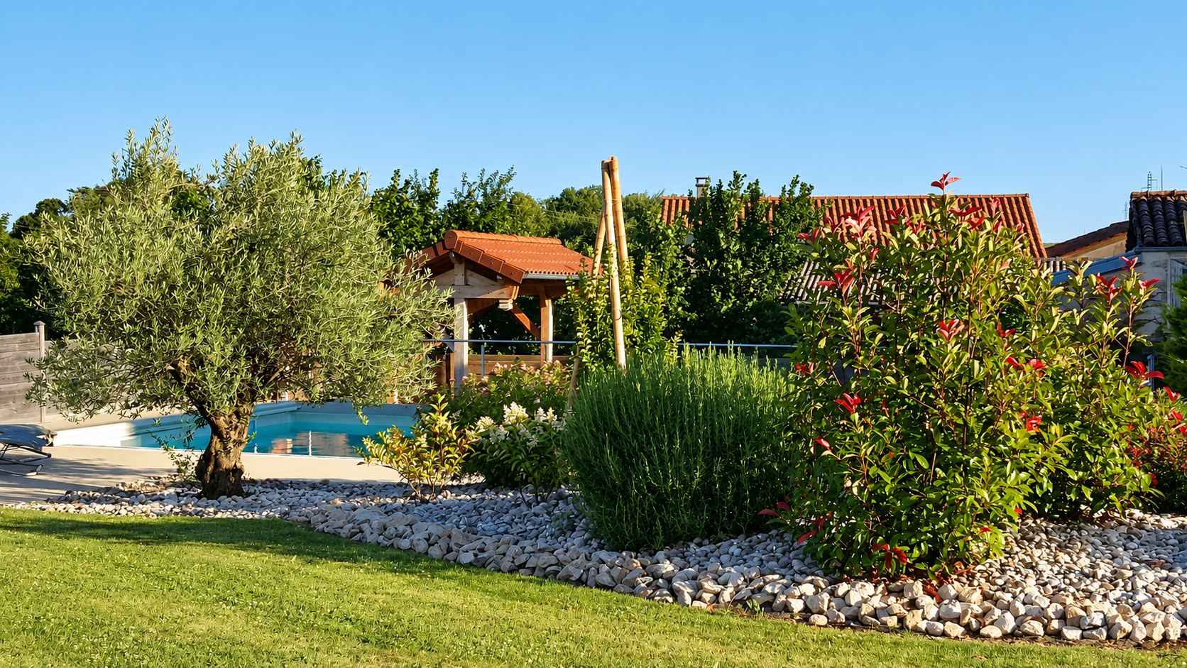 Jardin ensoleillé avec un olivier, un massif de plantes bordé de galets, une pelouse et une piscine avec un abri en bois au fond.