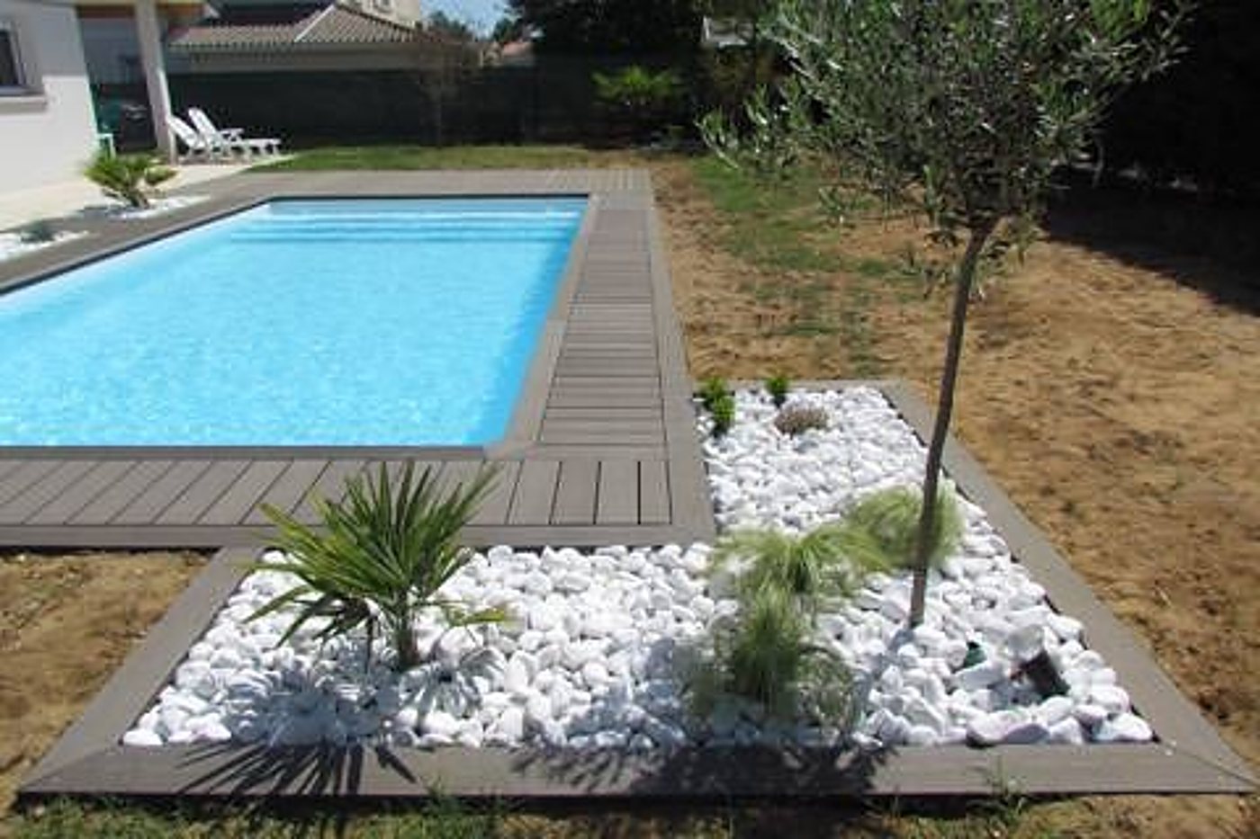 Une piscine rectangulaire bordée d'une terrasse en bois composite et d'un massif de galets blancs avec un olivier et des palmiers dans un jardin.
