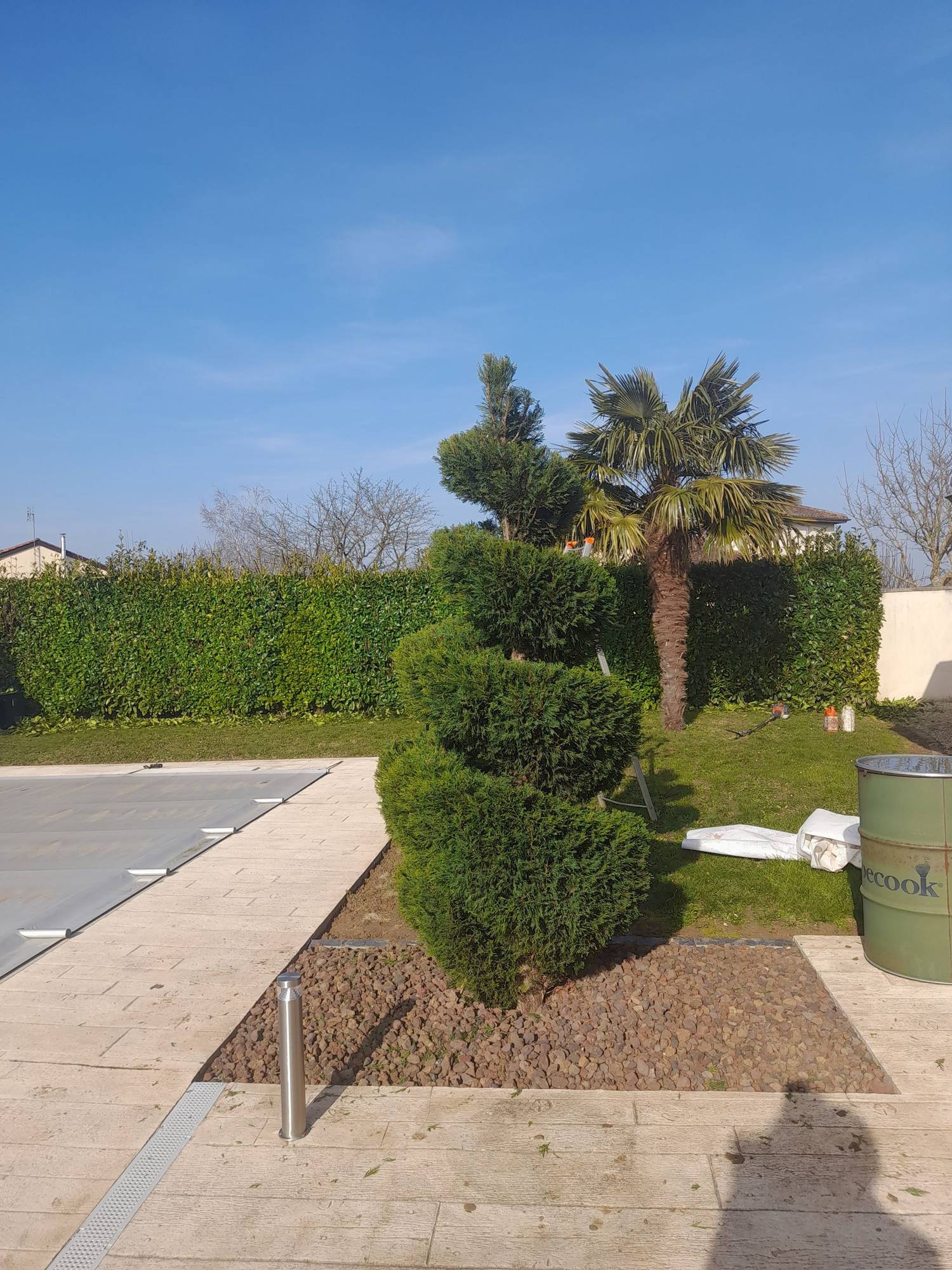 Un thuya taillé en spirale et un palmier se dressent dans un jardin entretenu, à côté d'une terrasse en bois clair et d'une piscine couverte.